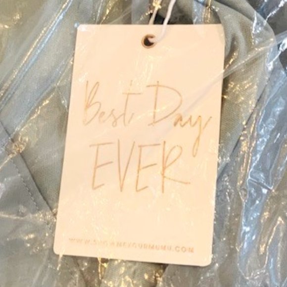 Show Me Your Mumu Emily Empire Maxi Dress Silver Sage - Size X-Small - New - Picture 8 of 10